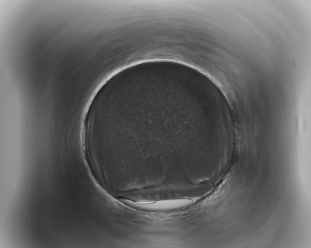 X0000093451527200710261051