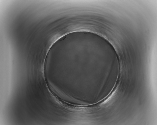 X0000093451529200710261051