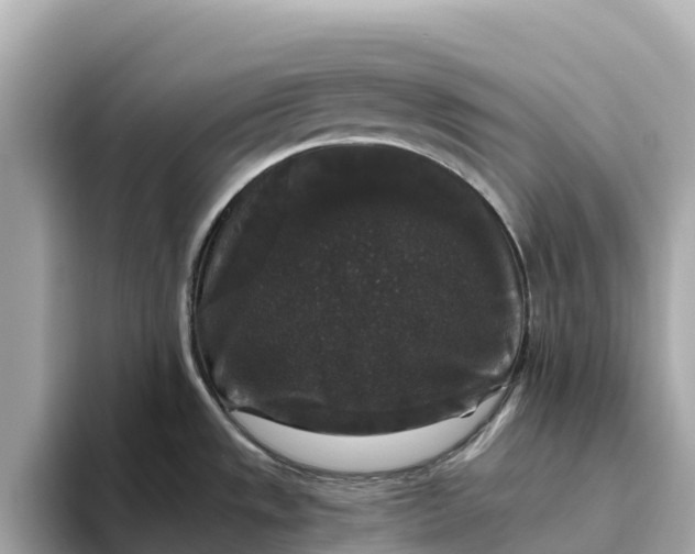 X0000093451533200710261051