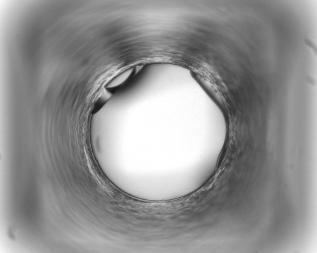 X0000093450001200711021123