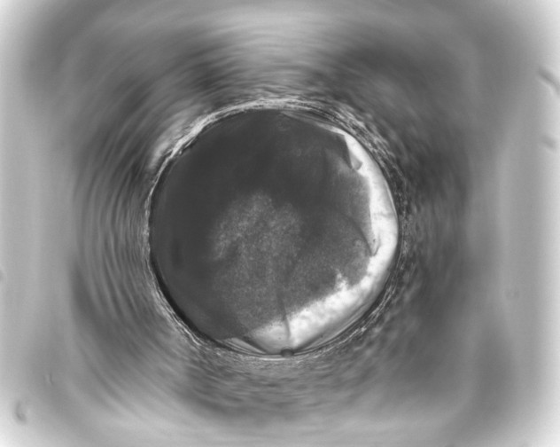 X0000093450002200711021123