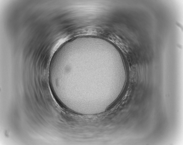 X0000093450003200711021123