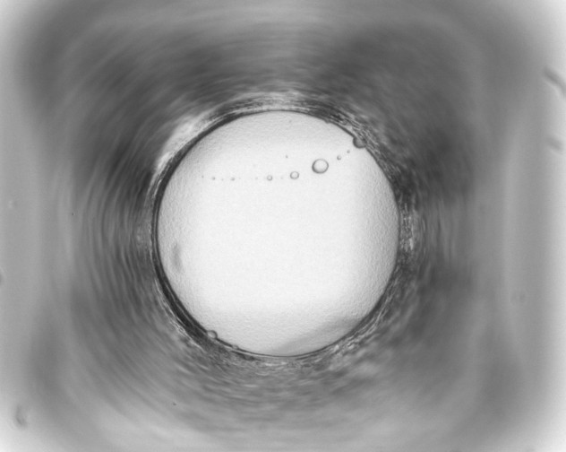 X0000093450004200711021123