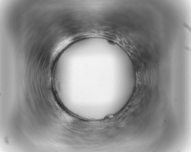 X0000093450005200711021123