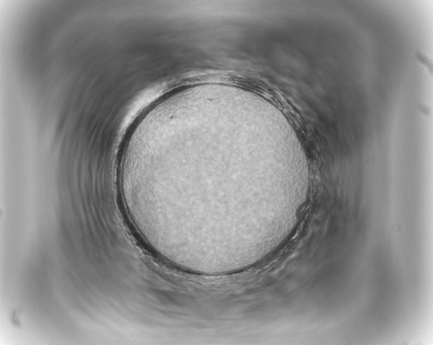 X0000093450006200711021123