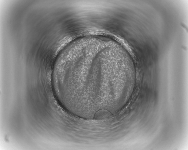 X0000093450010200711021123