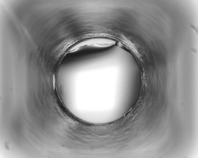 X0000093450013200711021123