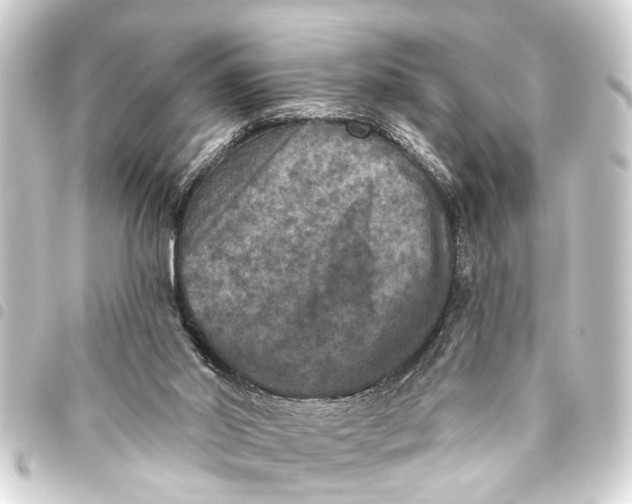 X0000093450014200711021123