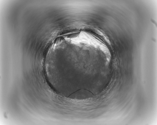 X0000093450018200711021123