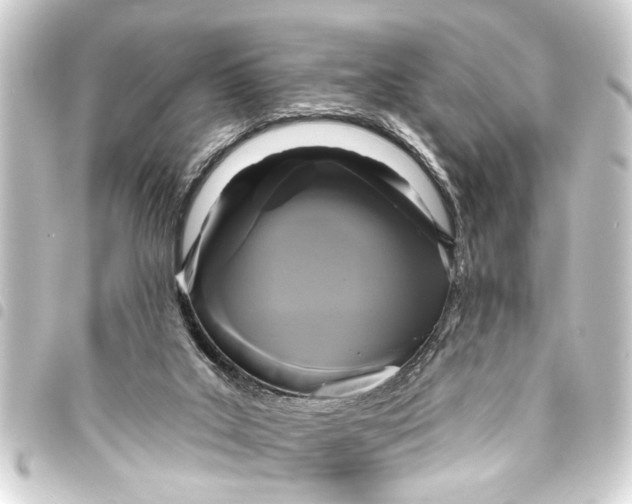 X0000093450019200711021123