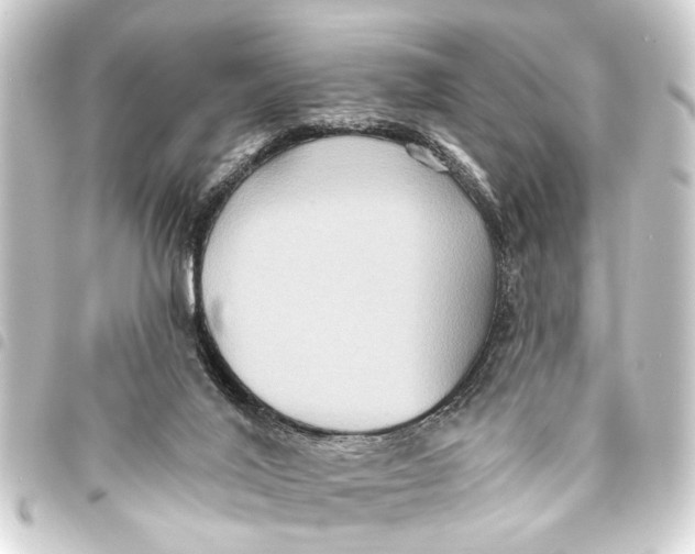 X0000093450020200711021123