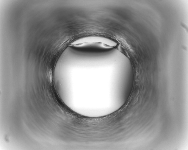 X0000093450021200711021123