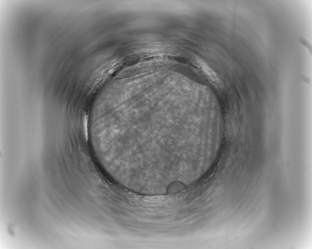 X0000093450022200711021123