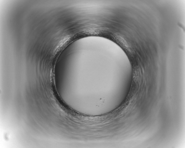 X0000093450023200711021123