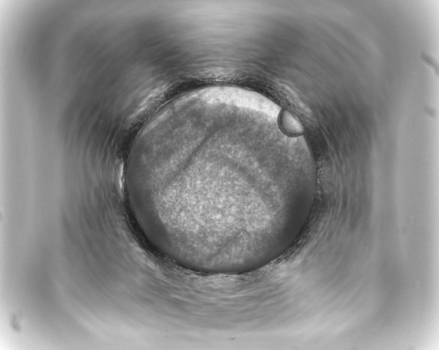 X0000093450024200711021123