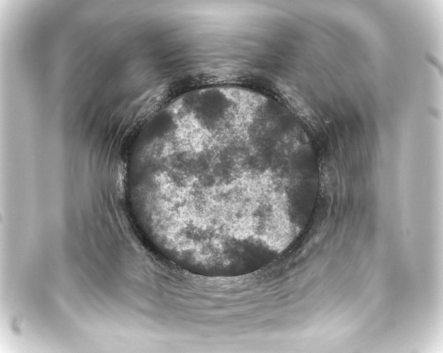 X0000093450026200711021123