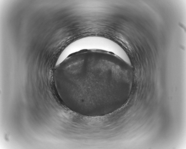 X0000093450029200711021123