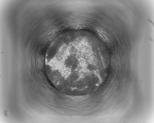 X0000093450030200711021123