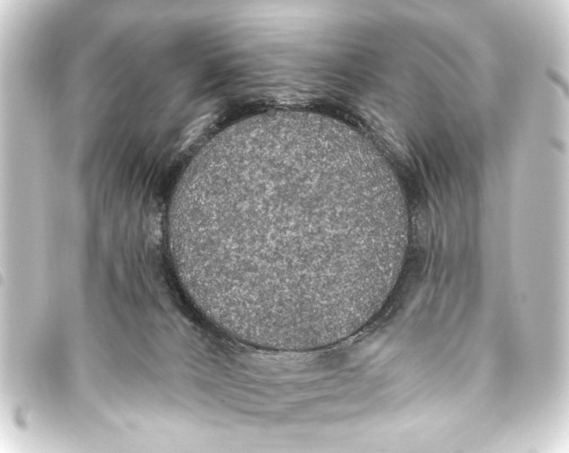 X0000093450032200711021123