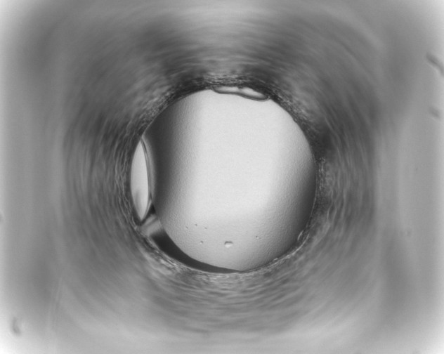 X0000093450033200711021123