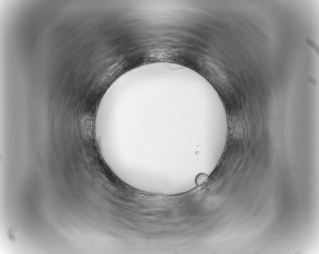 X0000093450036200711021123