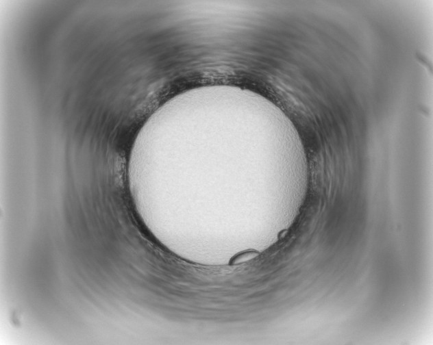 X0000093450038200711021123