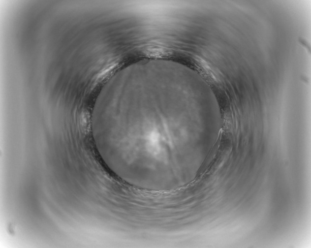 X0000093450043200711021123