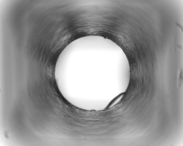 X0000093450044200711021123