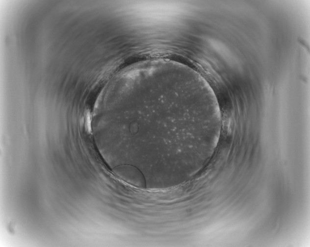 X0000093450046200711021123