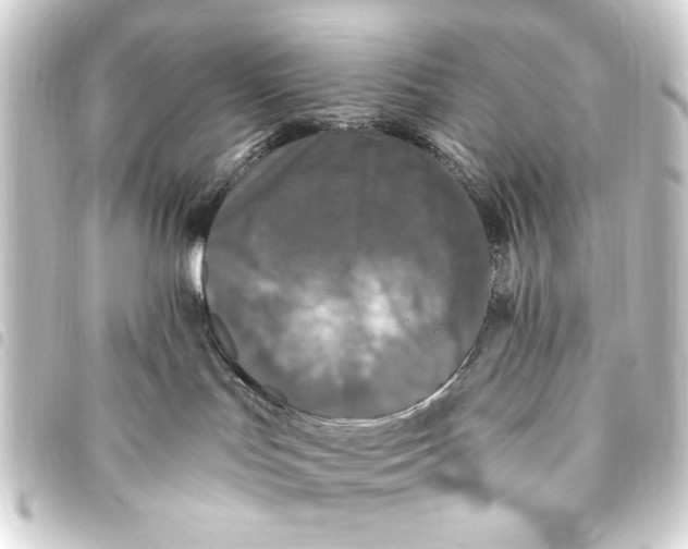 X0000093450047200711021123