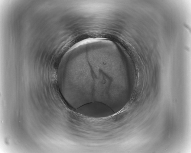 X0000093450048200711021123