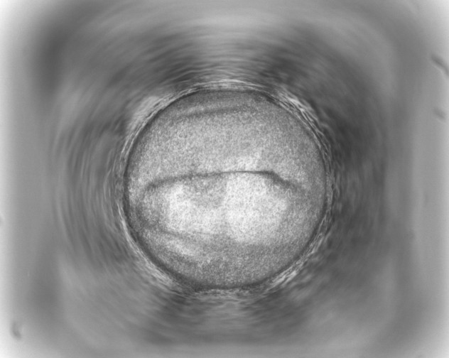 X0000093450049200711021122