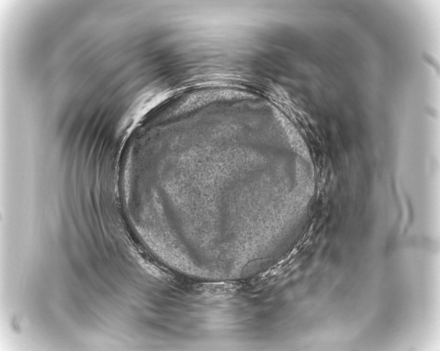 X0000093450050200711021122