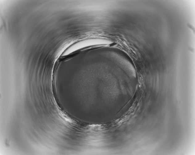 X0000093450052200711021122