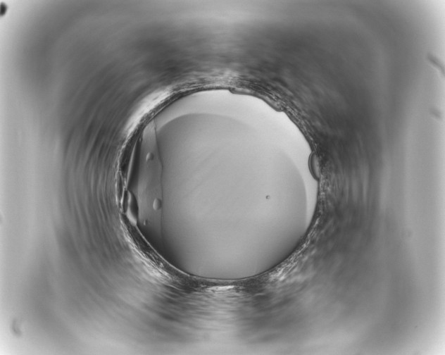 X0000093450054200711021122