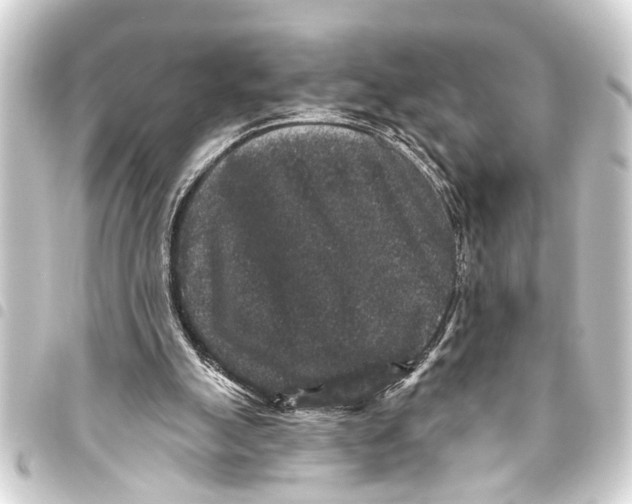 X0000093450055200711021122