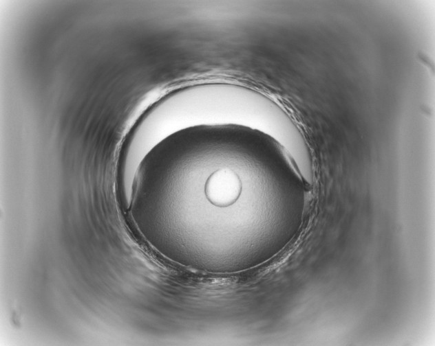 X0000093450056200711021122