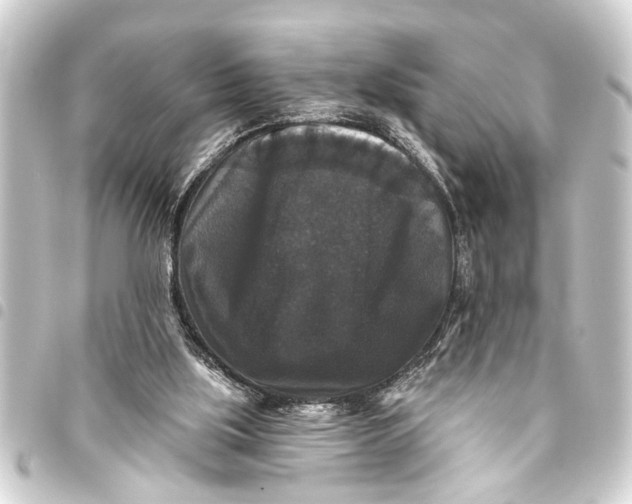 X0000093450059200711021122