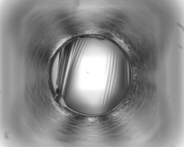 X0000093450060200711021122