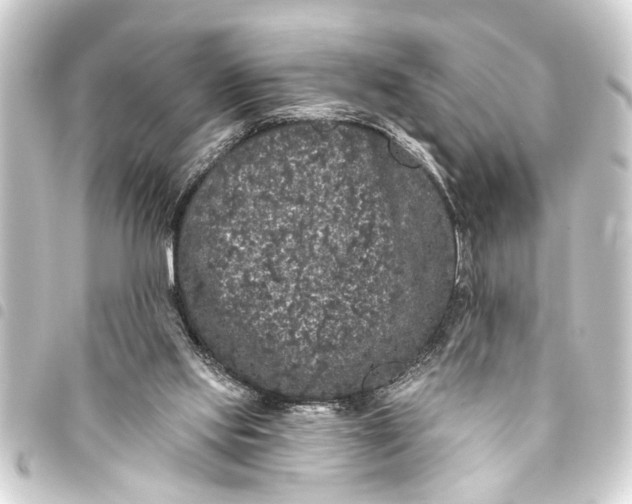 X0000093450061200711021122