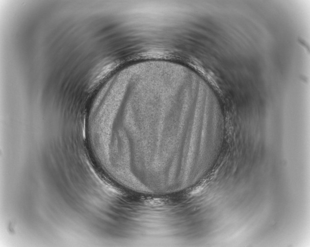 X0000093450062200711021122