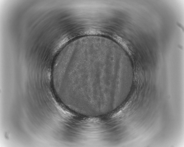 X0000093450063200711021122