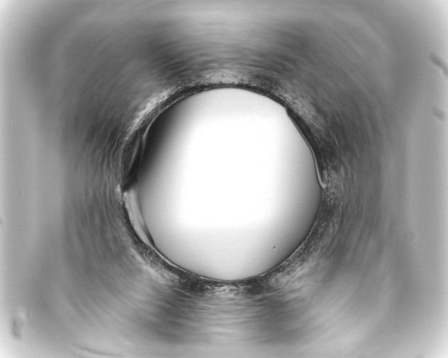 X0000093450064200711021122