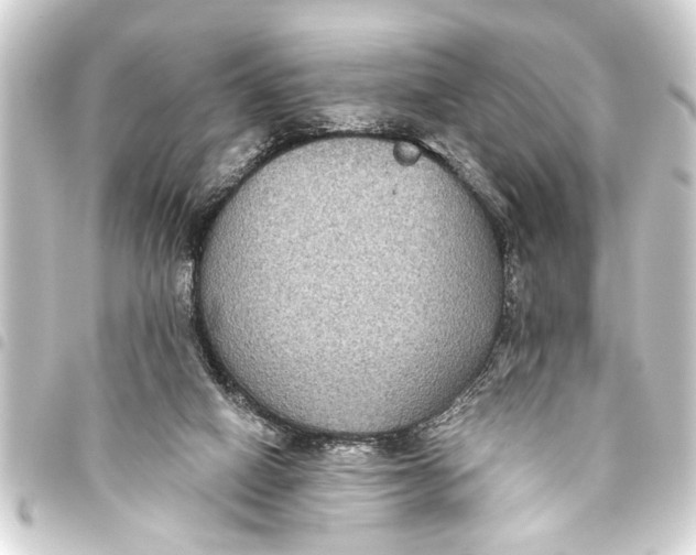 X0000093450066200711021122