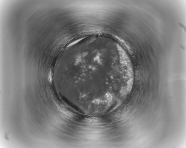 X0000093450069200711021122