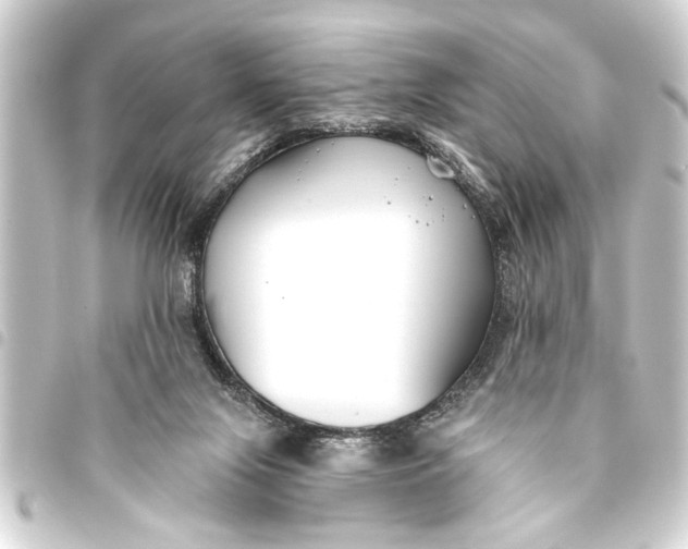 X0000093450071200711021122