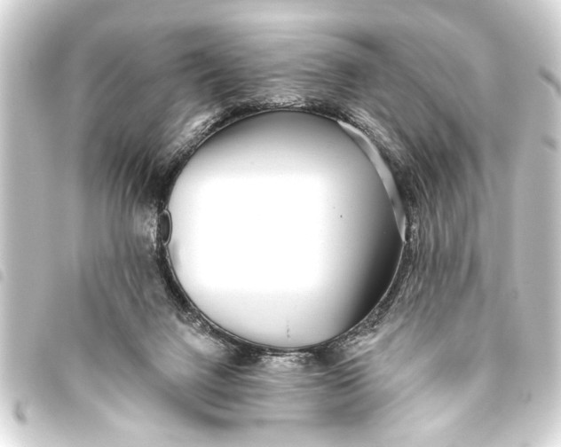 X0000093450072200711021122