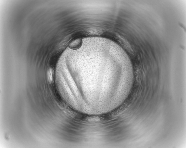 X0000093450075200711021123