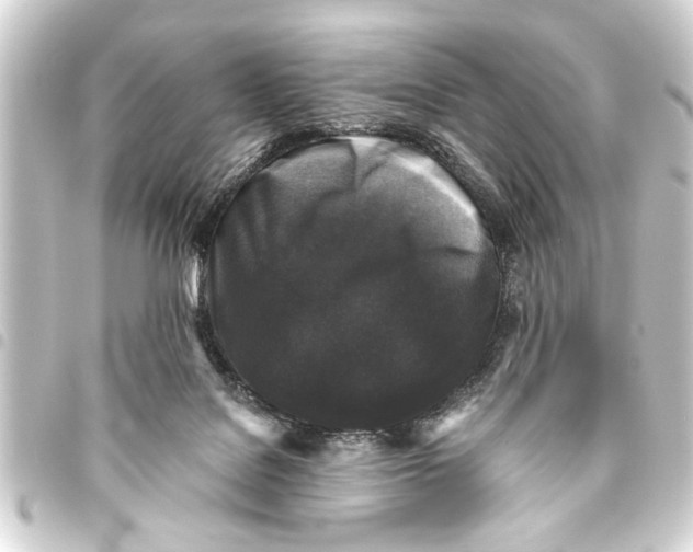 X0000093450076200711021123