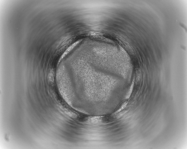 X0000093450078200711021123